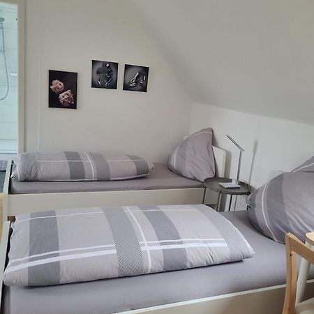 A&V Apartments Gemuetliche Rheinblick Wohnung Apt Daisy Duisburg Bagian luar foto