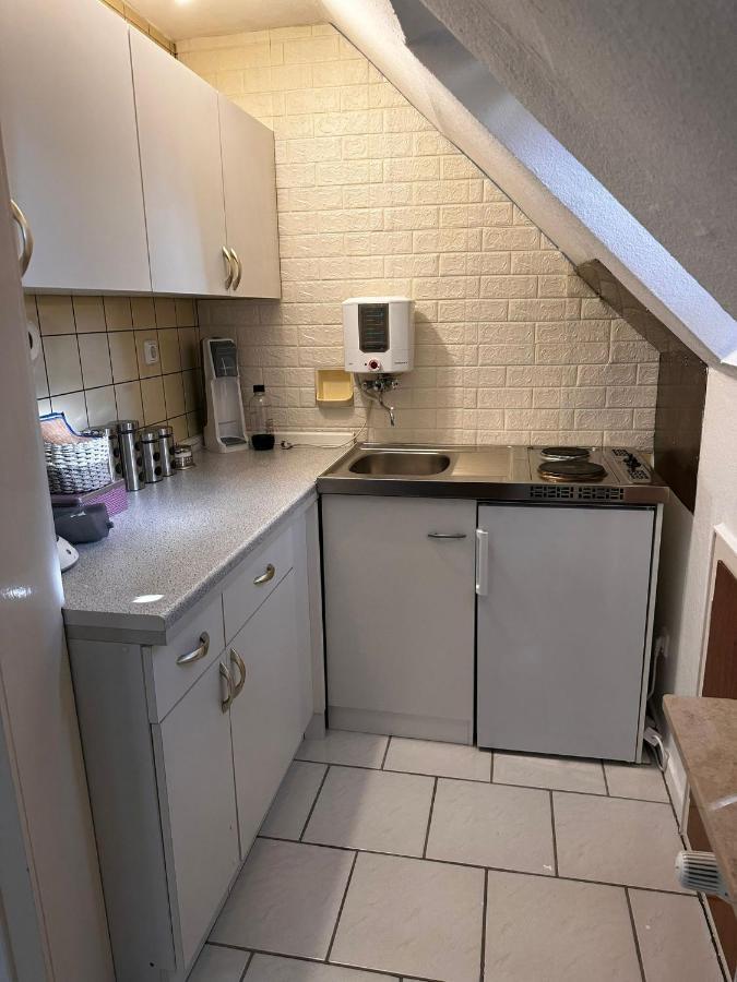 A&V Apartments Gemuetliche Rheinblick Wohnung Apt Daisy Duisburg Bagian luar foto